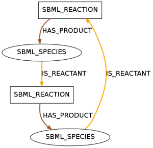 This pattern shows the smallest biologically meaningful circle. It is contained in 330 models of data set R29 and in 25 models of data set R1.